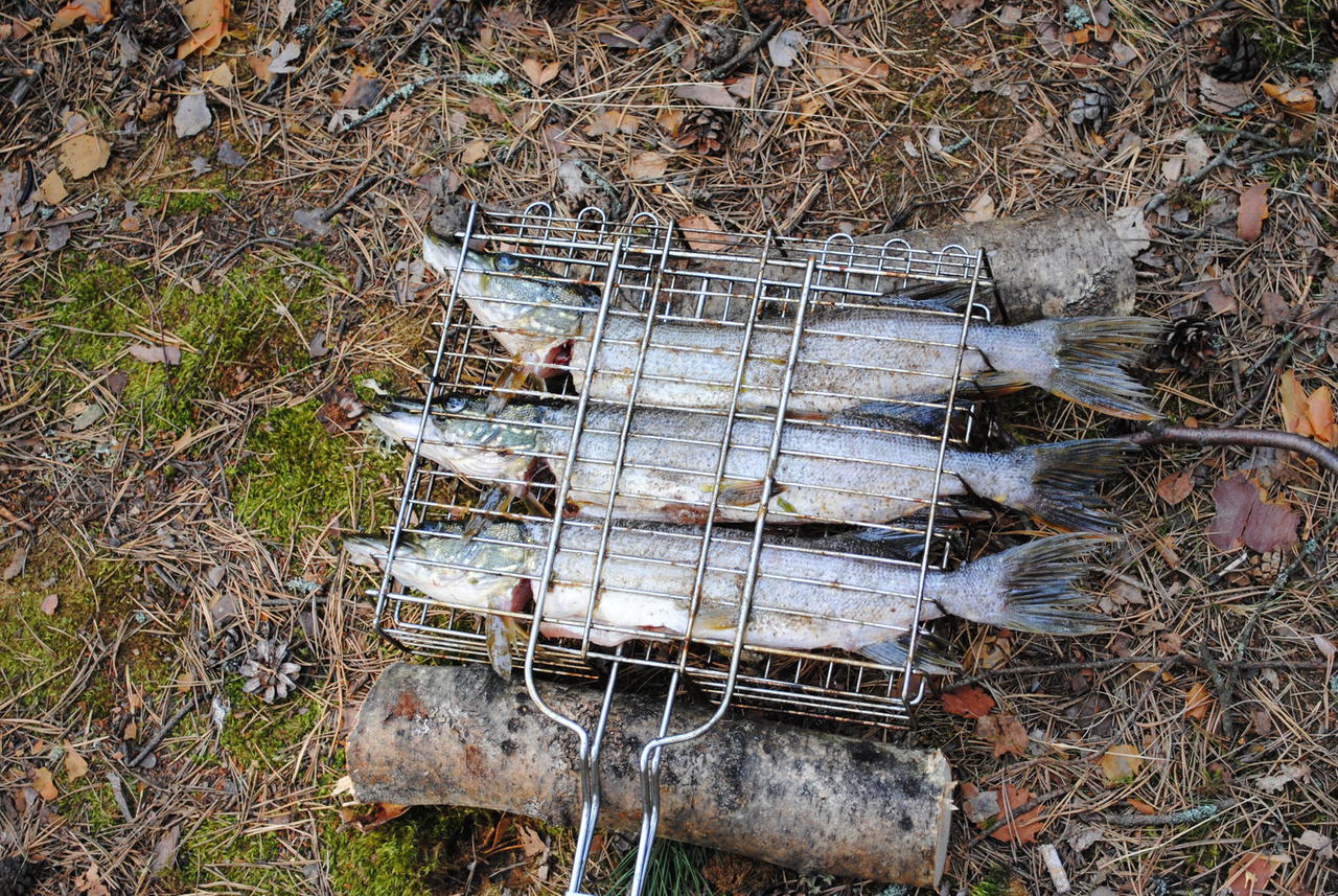 На решетку и на гриль их! :)