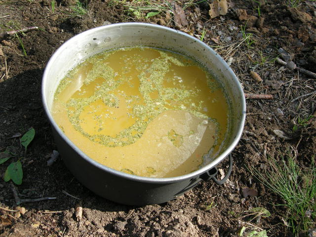 DSCN3597