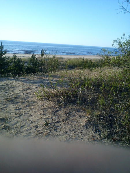 DSC00009