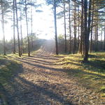 DSC00017