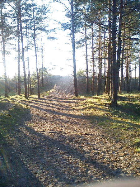 DSC00017