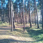 DSC00018