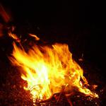 pict0157