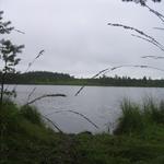 IMG_1694