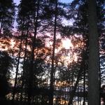 IMG_1749