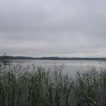 IMG_1779
