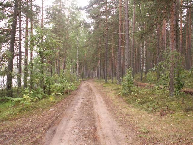 PICT0016