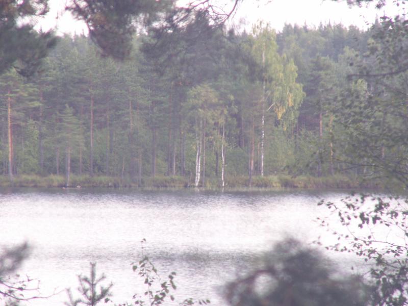 PICT0015